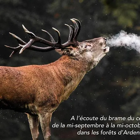 Maison Ardennaise A Corbion-sur-semois Сasa de vacaciones Bouillon