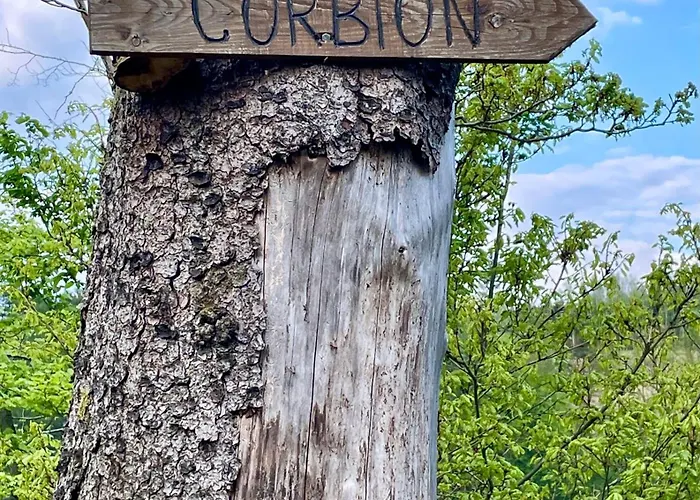 بيت للعطل Maison Ardennaise A Corbion-sur-semois *