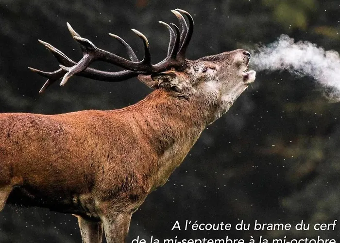 Maison Ardennaise A Corbion-sur-semois بيت للعطل بوالون