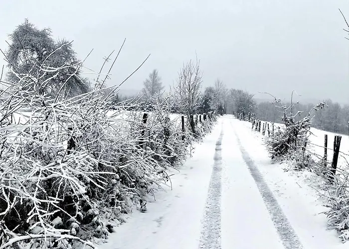 Maison Ardennaise A Corbion-sur-semois بيت للعطل بوالون